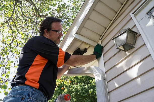 Best Hoarding Cleanup  in Brentwood, MO